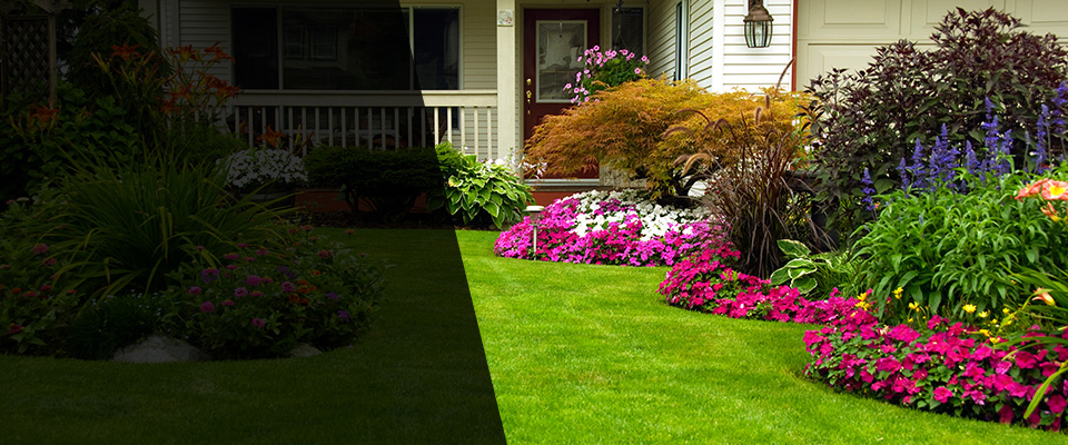 Many Landscapers