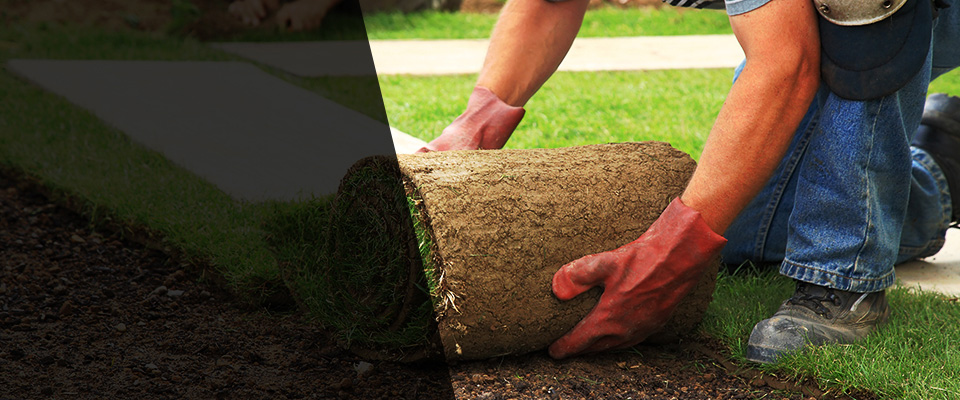 Many Landscapers